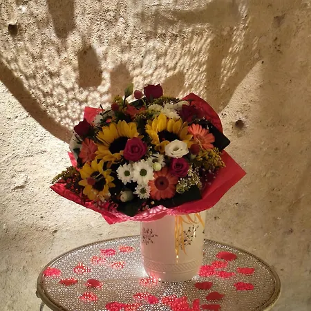 Il Nido Nella Roccia *